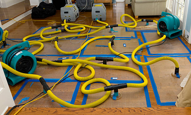 Professional Basement Flood Cleanup technician working in North Hills, CA